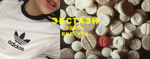 дживик Краснослободск
