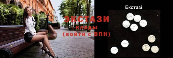 дживик Краснослободск