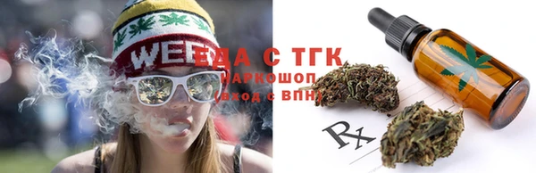 дживик Краснослободск