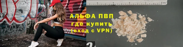дживик Краснослободск