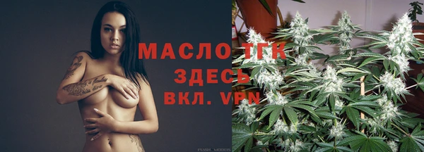 дживик Краснослободск