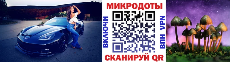Псилоцибиновые грибы Psilocybine cubensis  Купить закладки  Иннополис 